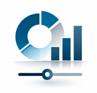 Portfolio governance icon
